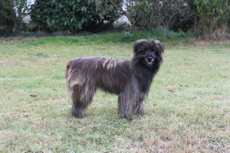 H'anoye Du pic d'arbizon