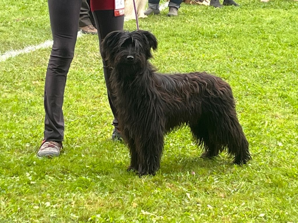 Ugo Du pic d'arbizon