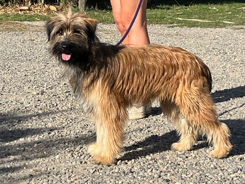 Ubac Du pic d'arbizon