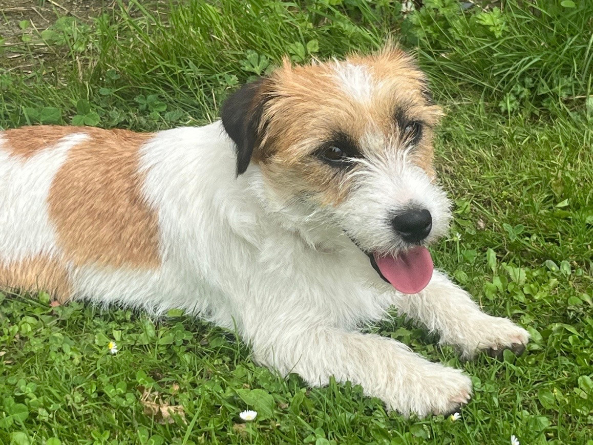 Urrugne des Gerveilles Du pic d'arbizon